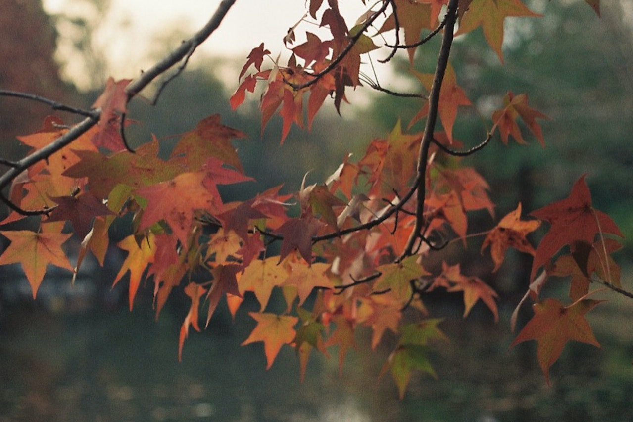 Fall's Finest: 10 Must-Have Style Pieces