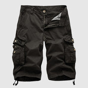 Dan Anthony Explorer Cargo Shorts