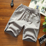 Dan Anthony BeachBoy Shorts